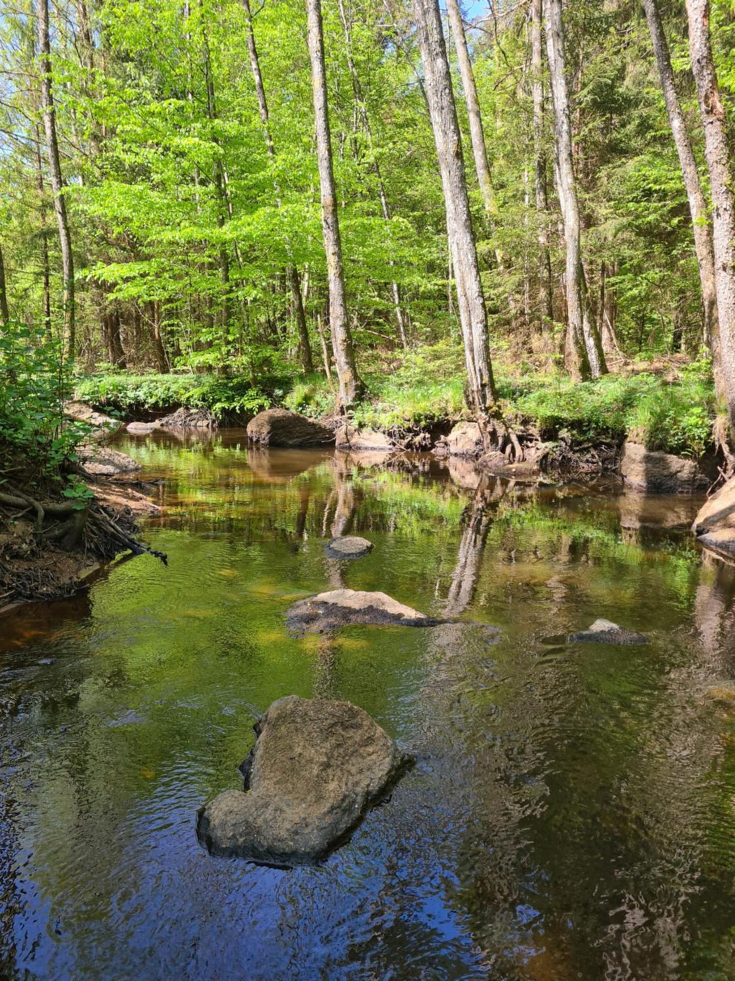 Vila Bysmedjan Hässleholm Exteriér fotografie
